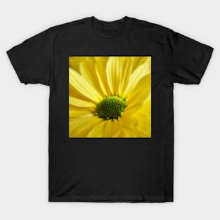 Yellow Daisy Gerbera T-Shirt